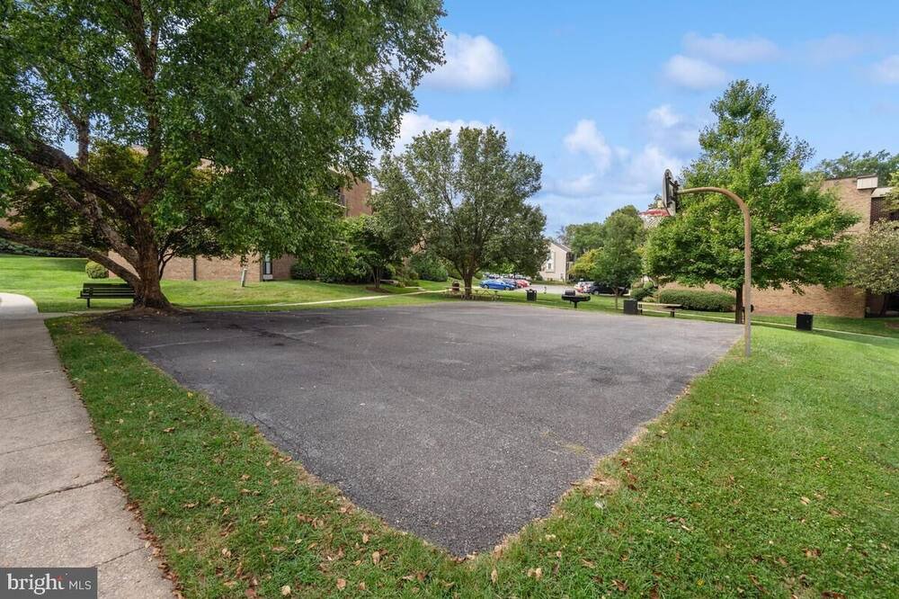 Photo of Outdoor in Forest Glen