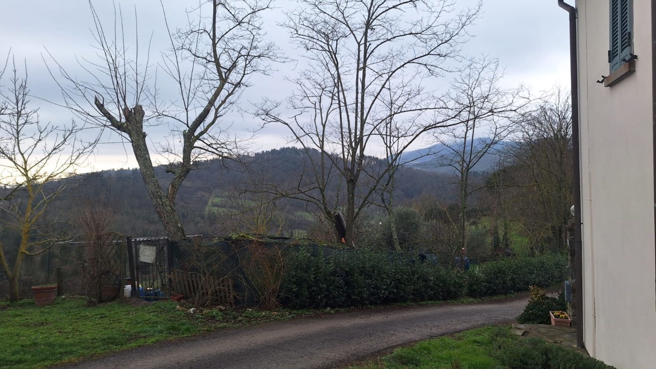 Photo of Outdoor in Pratolino