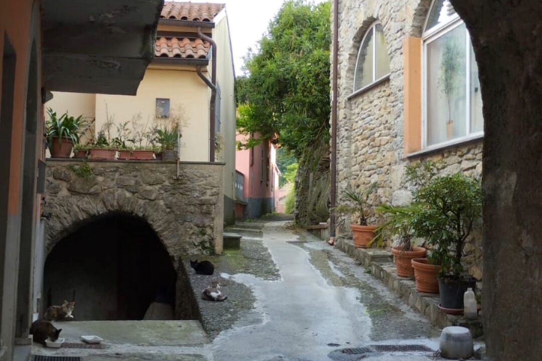 Photo of Outdoor in Masero