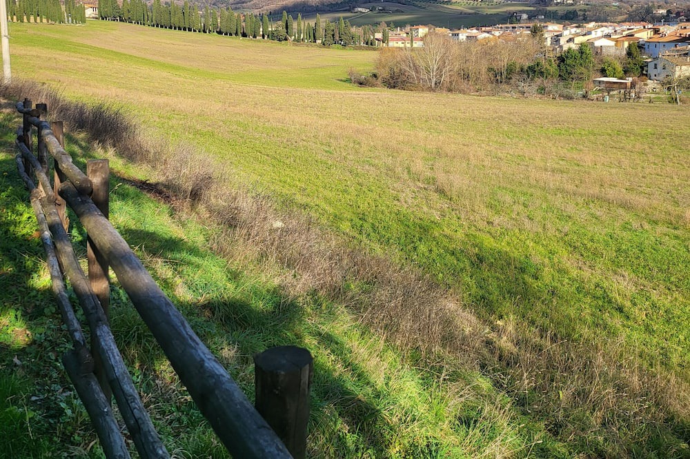 Photo of Outdoor in Galliano