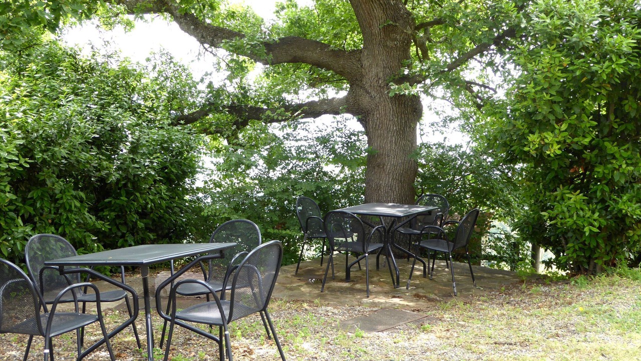 Photo of Outdoor in Montecastelli