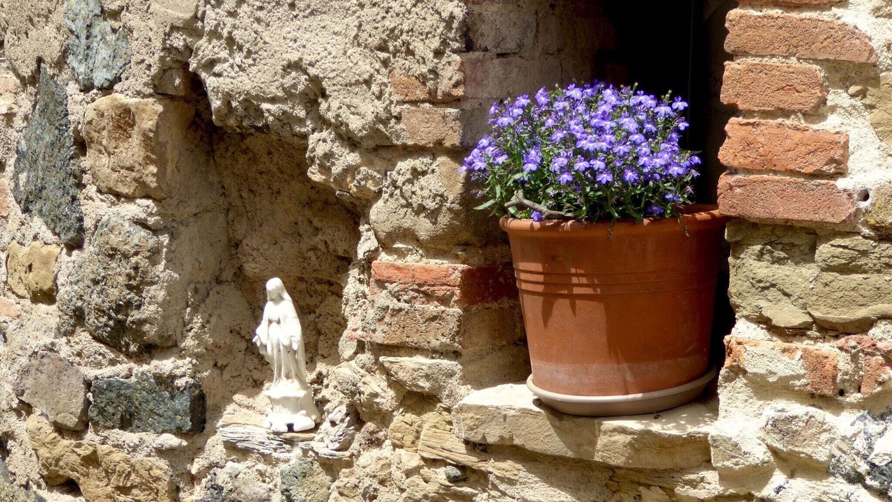 Photo of Others in Montecastelli