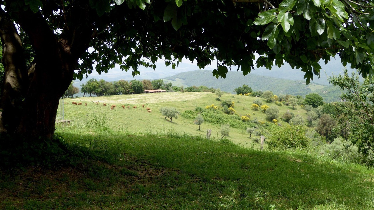 Photo of Others in Montecastelli