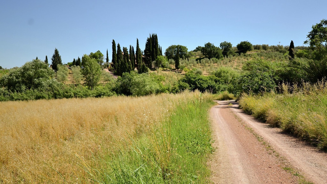 Photo of Outdoor in Montecastelli