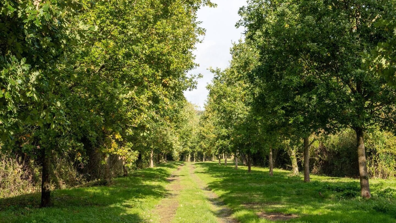 Photo of Others in Todenham