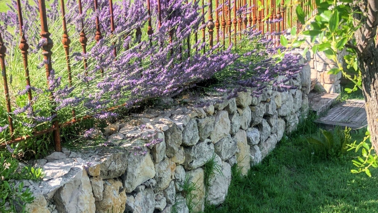 Photo of Outdoor in Saint-Jeannet