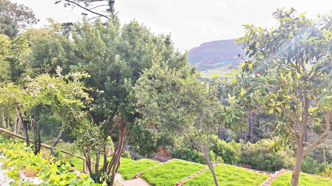 Photo of Outdoor in Constantia