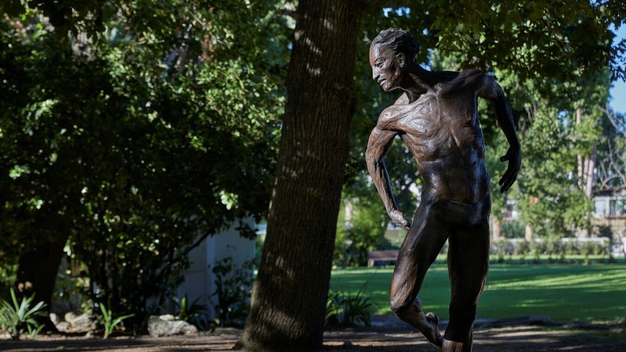 Photo of Outdoor in Stellenbosch