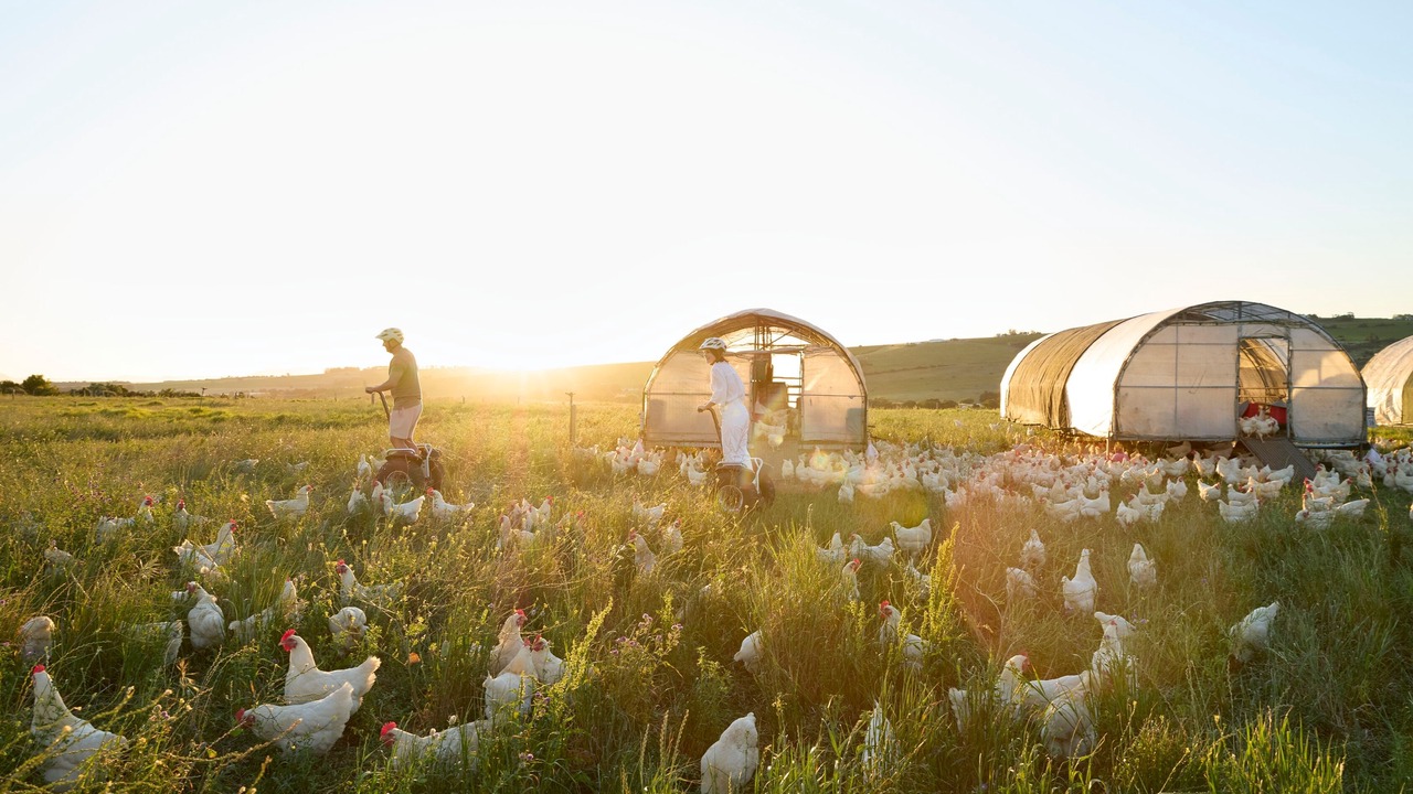 Photo of Others in Stellenbosch