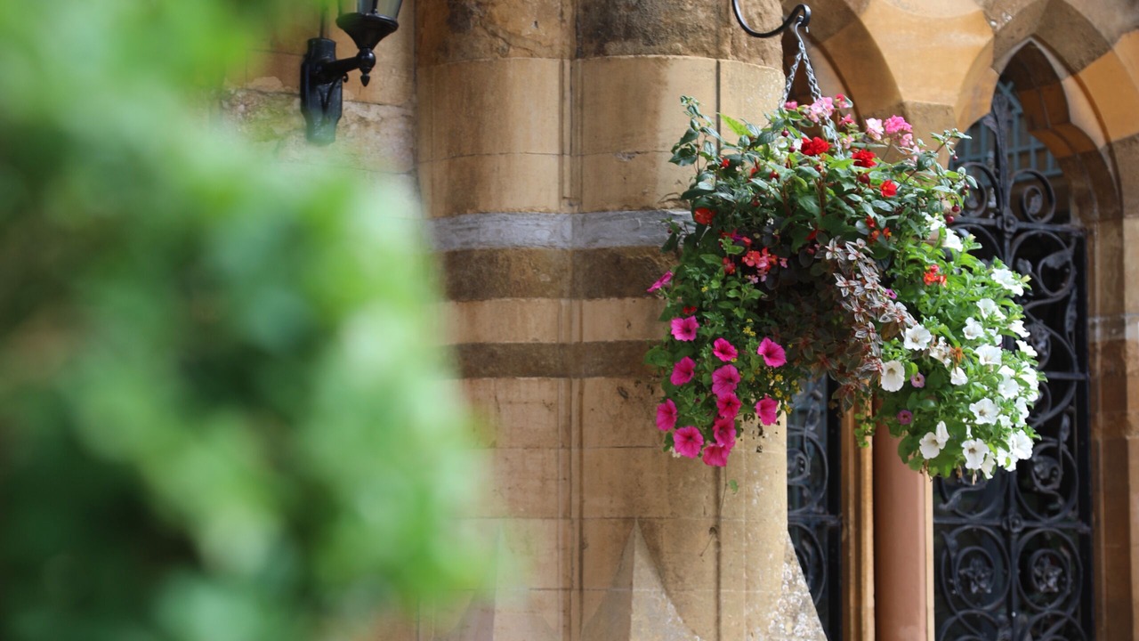 Photo of Outdoor in Newbold on Stour