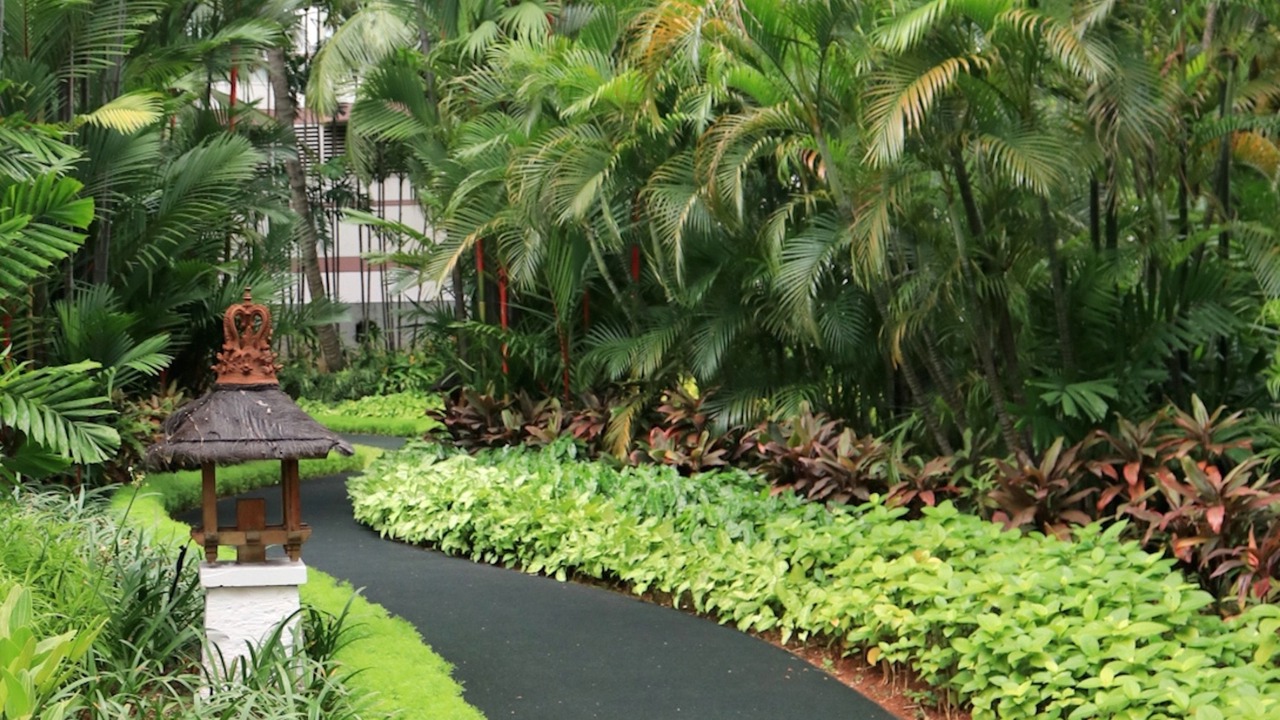 Photo of Outdoor in Jakarta