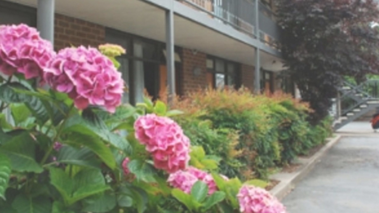 Photo of Outdoor in Watson