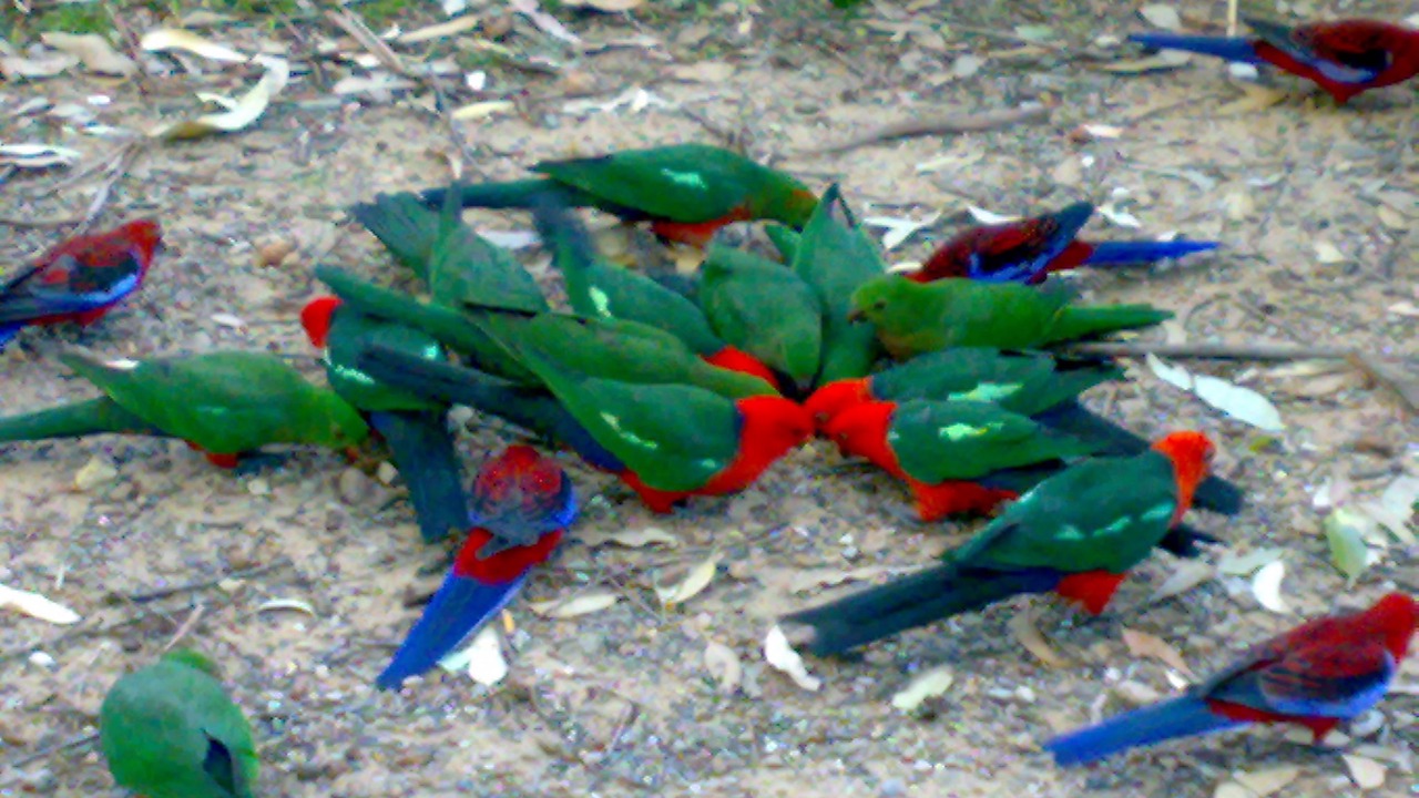 Photo of Outdoor in Batemans Bay