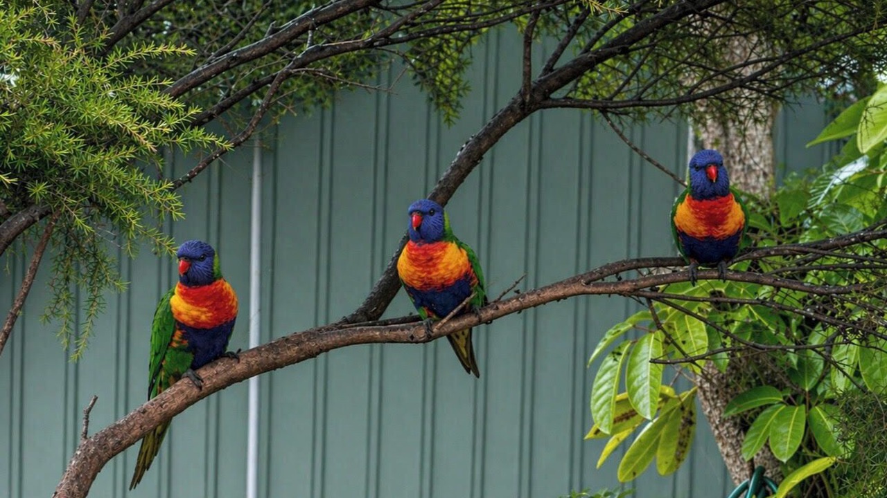 Photo of Outdoor in Batemans Bay