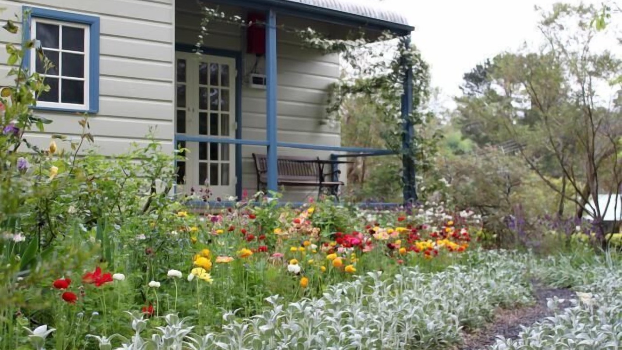 Photo of Outdoor in Leura