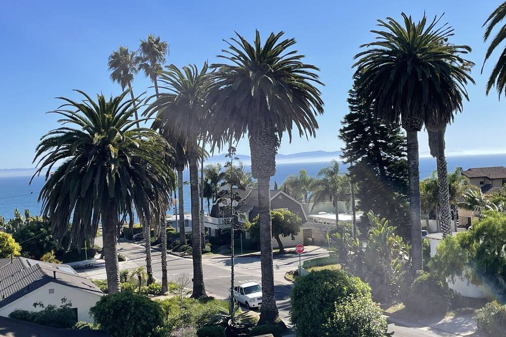 Photo of Outdoor in The Mesa