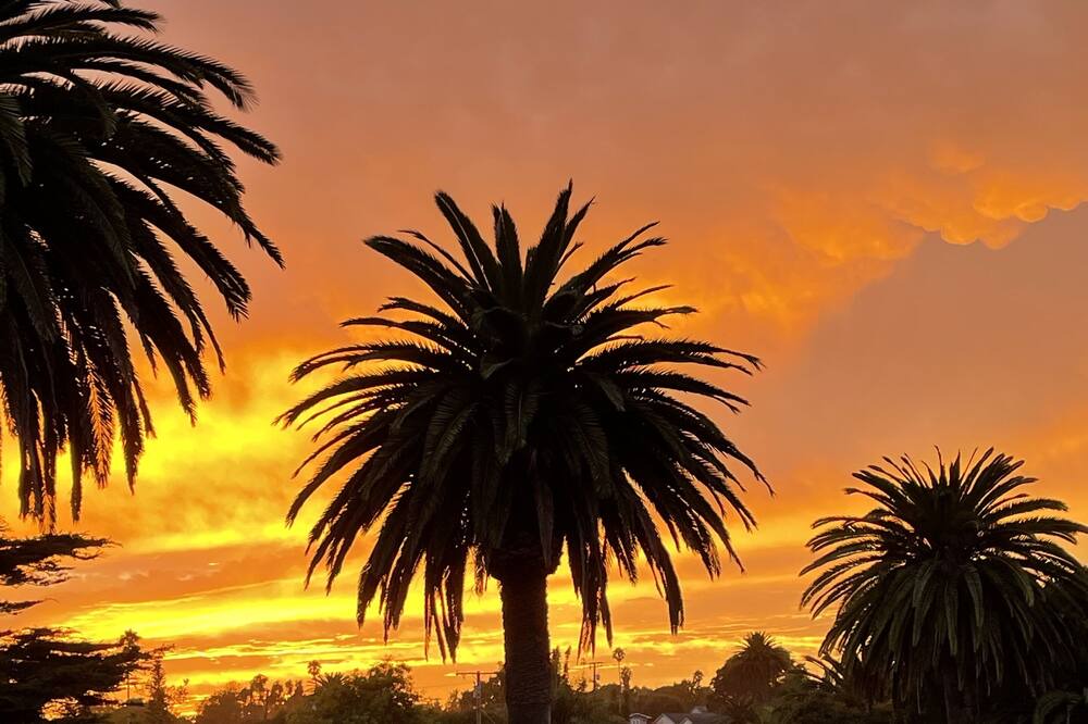 Photo of Outdoor in The Mesa