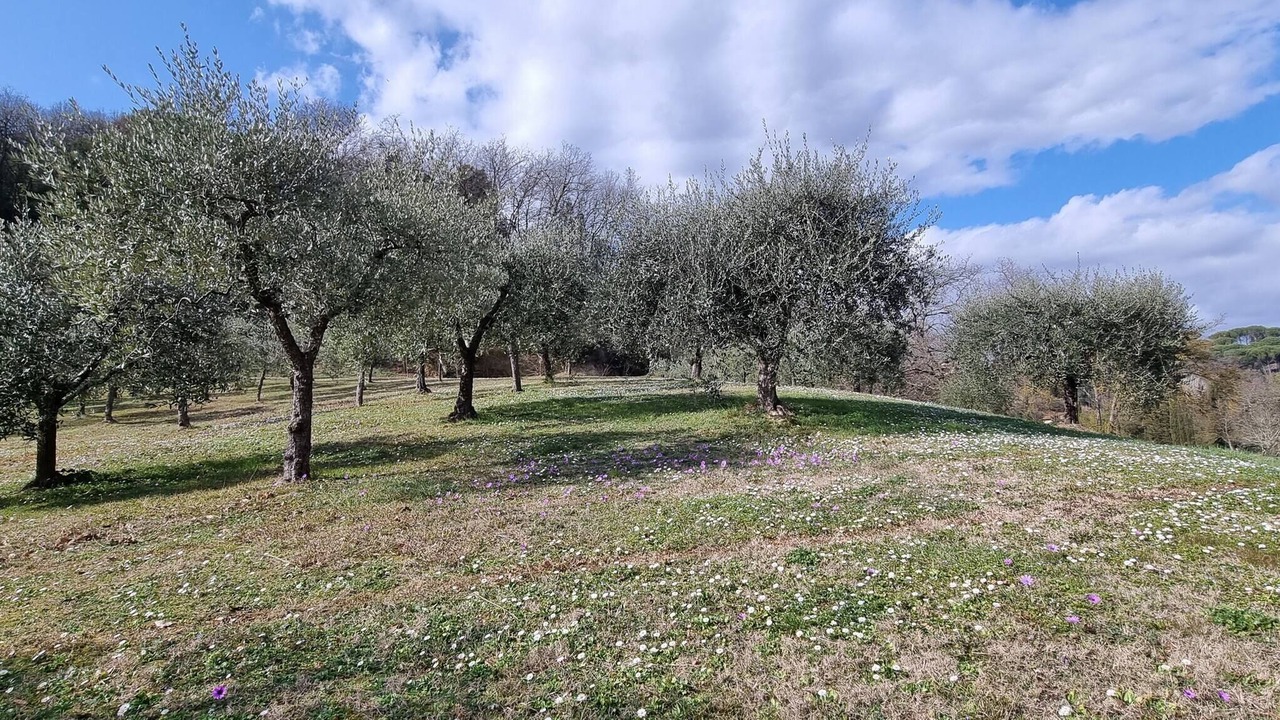 Photo of Outdoor in Santa Maria a Monte