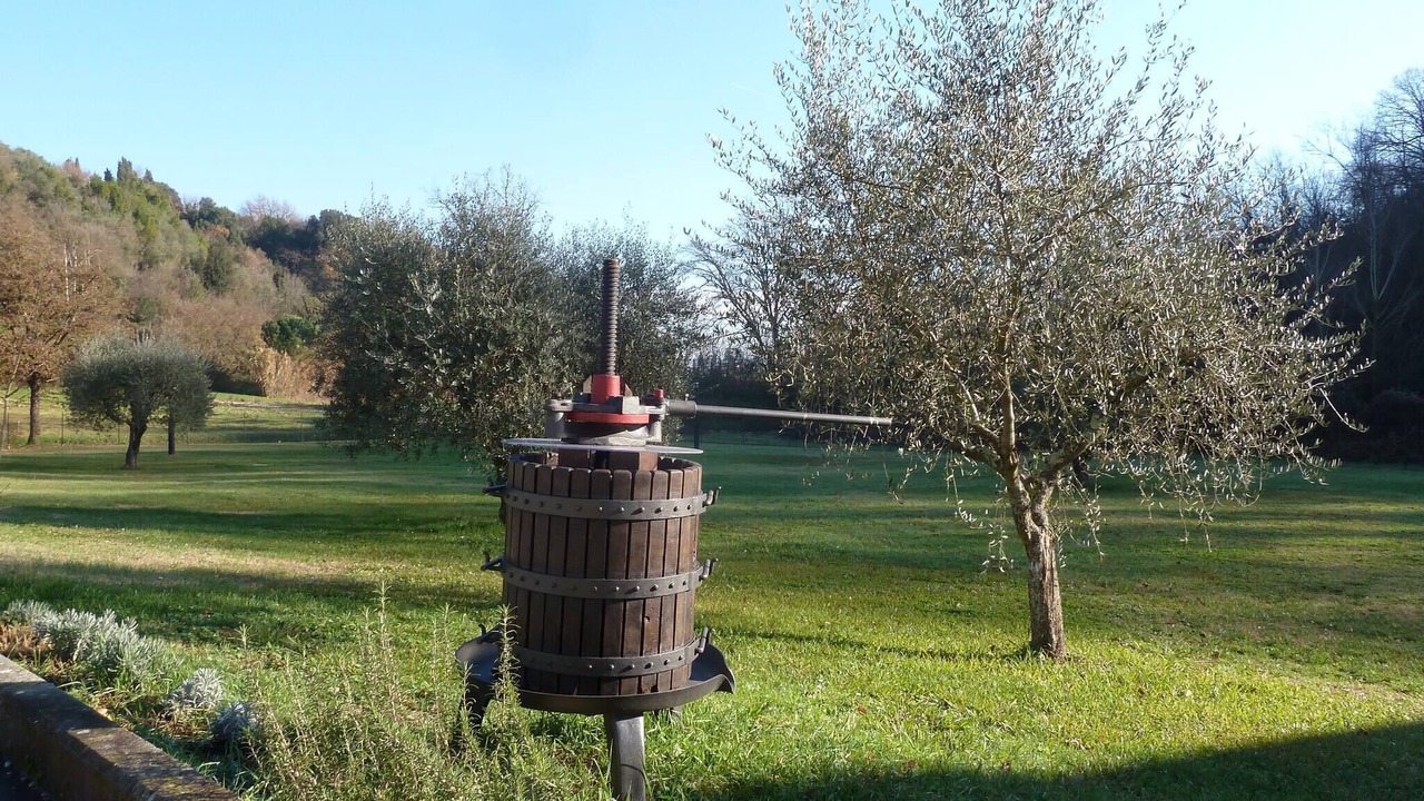 Photo of Outdoor in Santa Maria a Monte