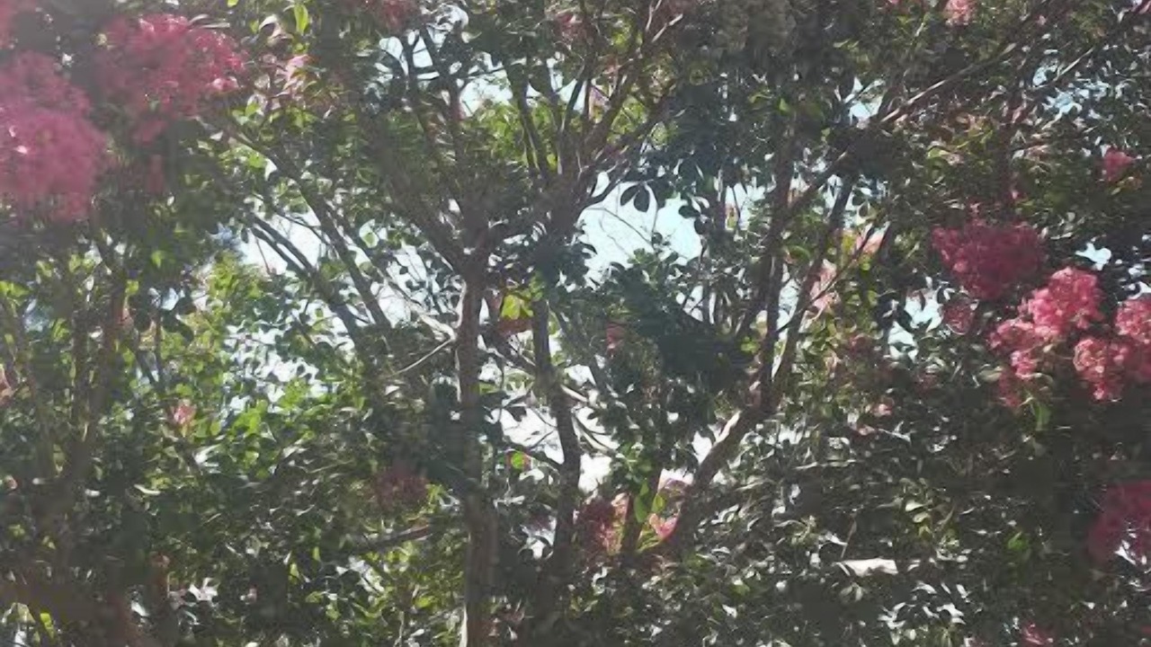 Photo of Outdoor in Greater Johannesburg Metropolitan Area