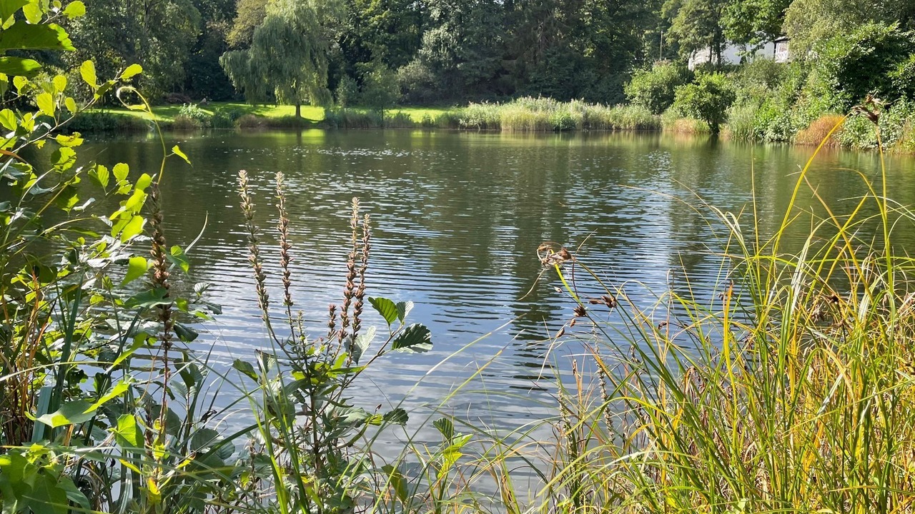 Photo of Others in Burbach