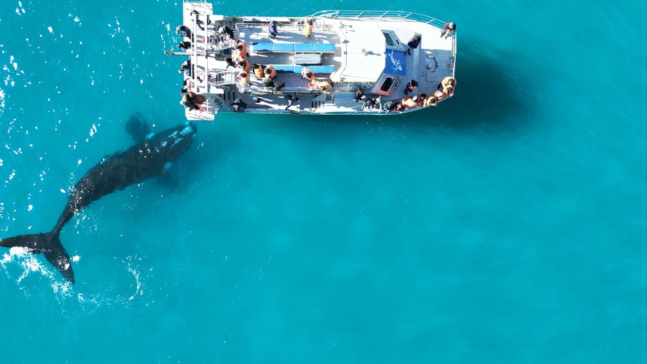 Photo of Others in Van Dyks Bay