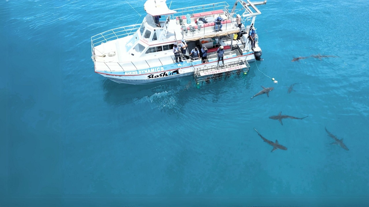 Photo of Others in Van Dyks Bay
