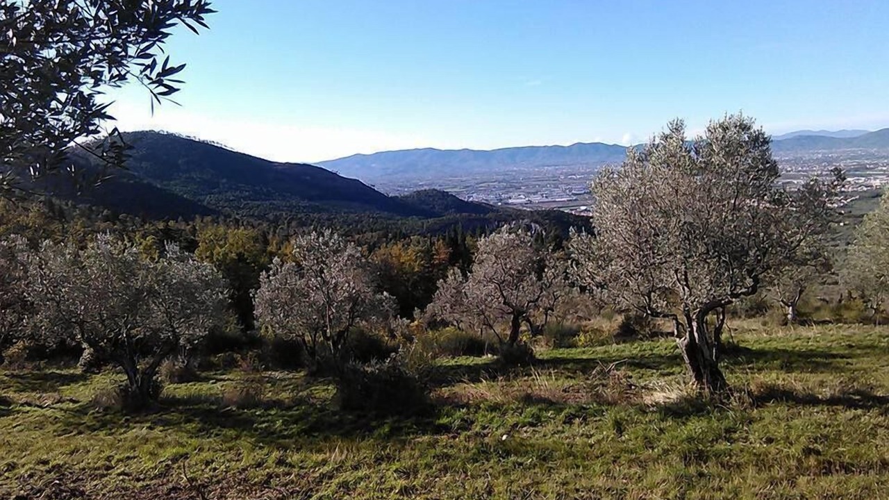Photo of Outdoor in Prato