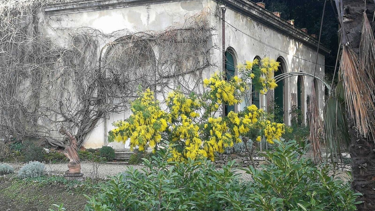 Photo of Outdoor in Prato