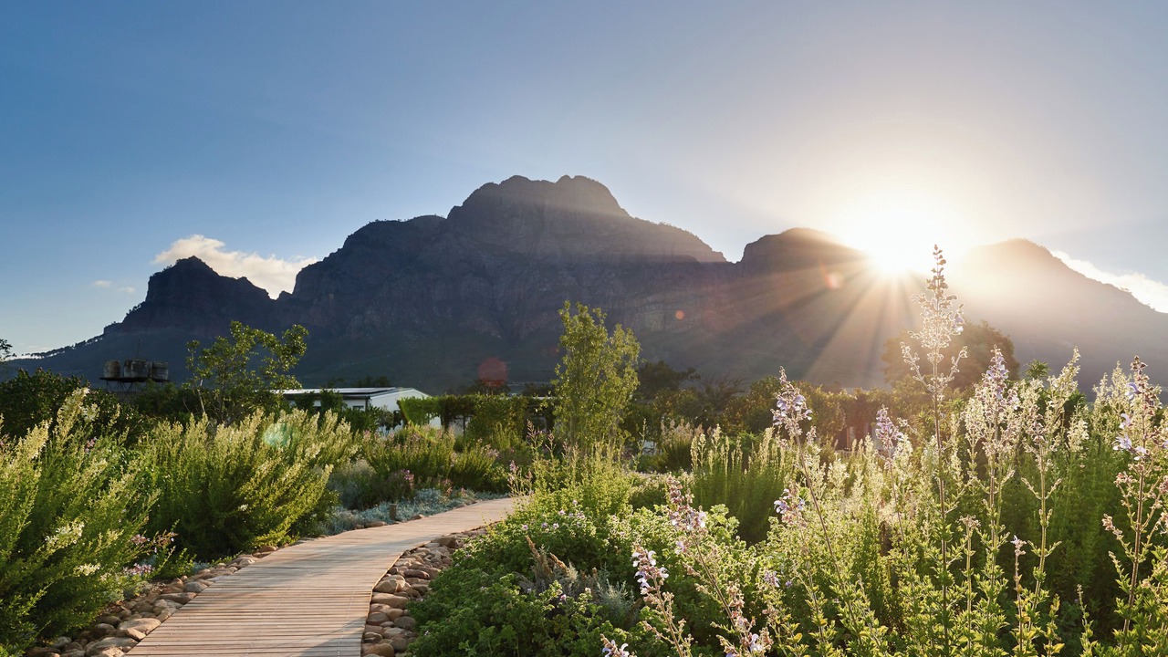 Photo of Outdoor in Cape Winelands