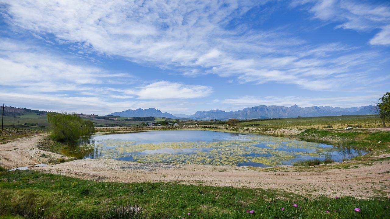 Photo of Outdoor in Trawal