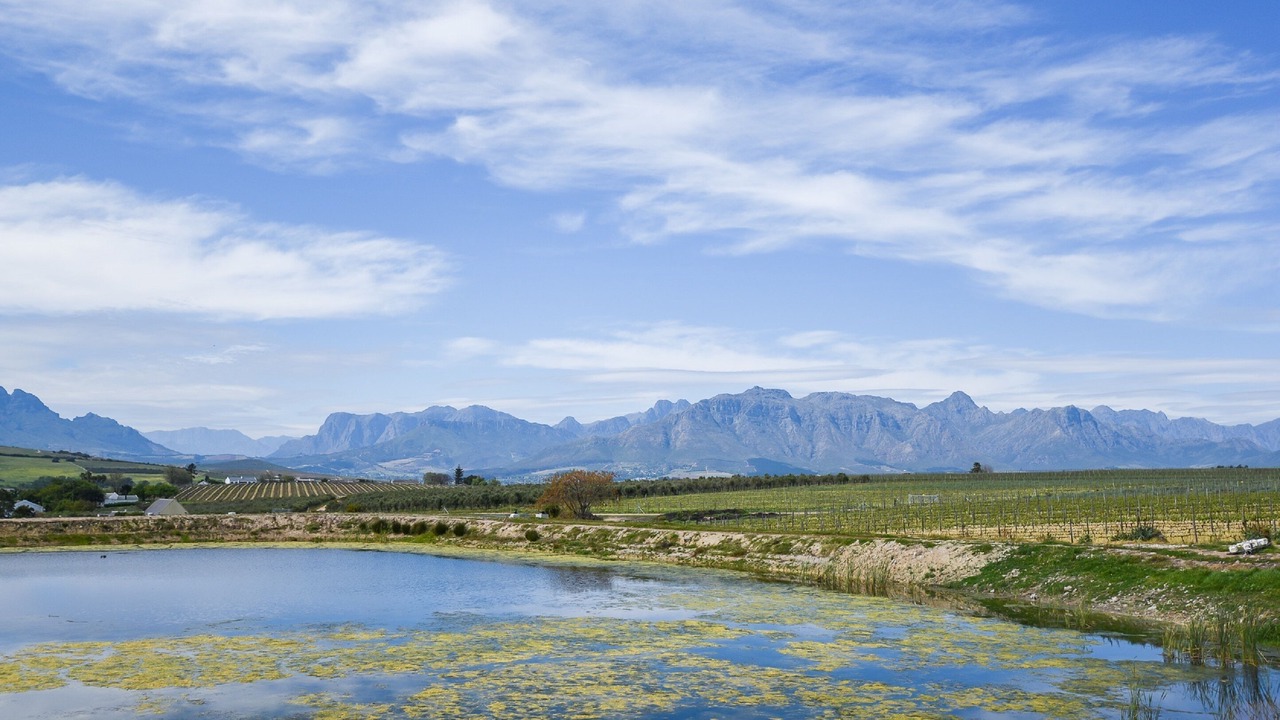 Photo of Outdoor in Trawal