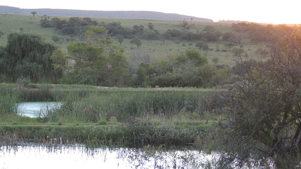Photo of Others in Greater Johannesburg Metropolitan Area