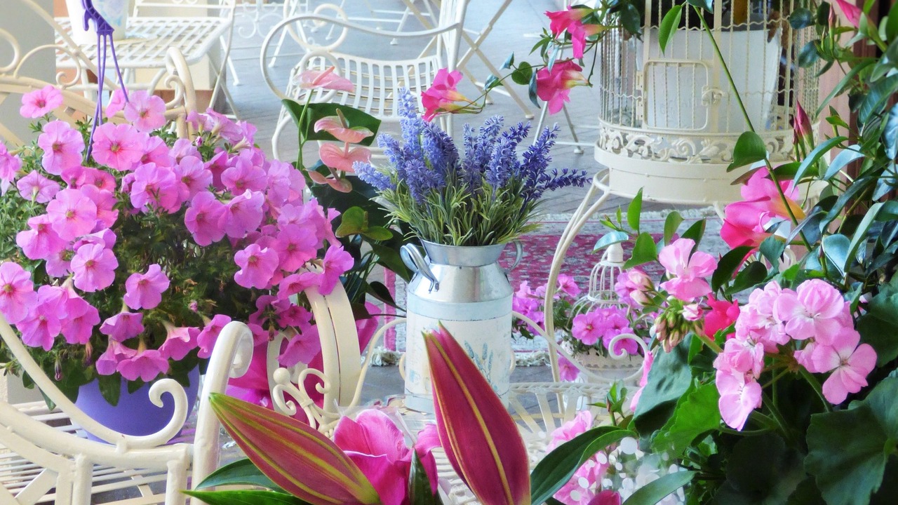 Photo of Outdoor in San Giovanni in Persiceto