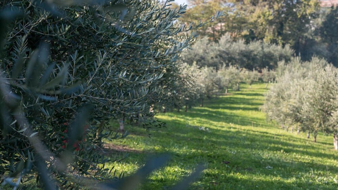 Photo of Outdoor in Ca' Bernabei