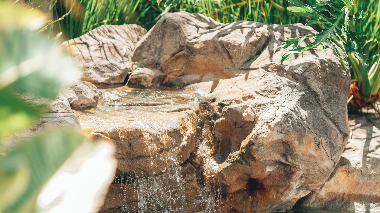 Photo of Outdoor in Kleinmond
