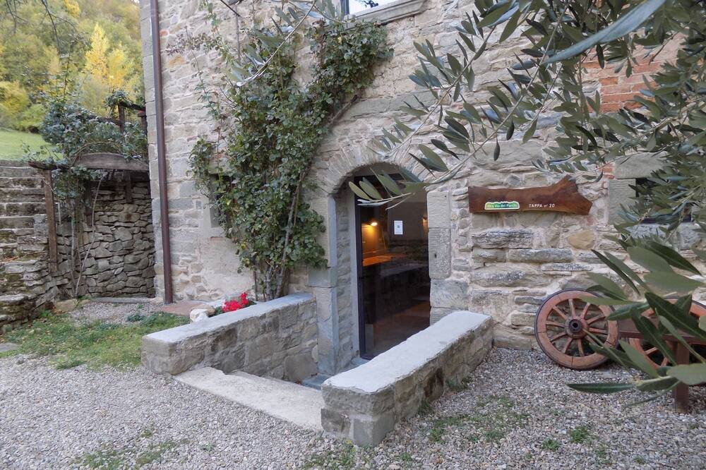 Photo of Others in San Godenzo