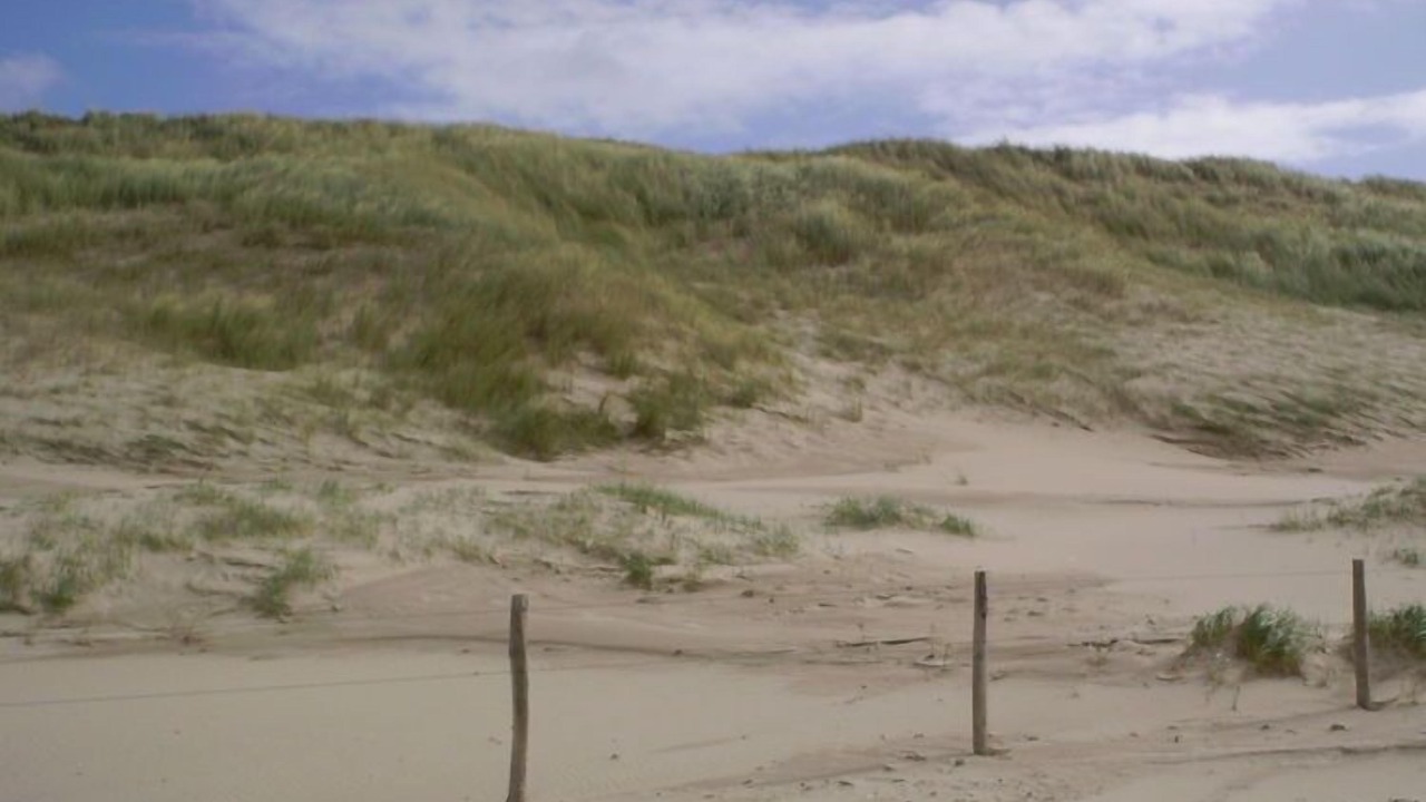 Photo of Others in Schoorl