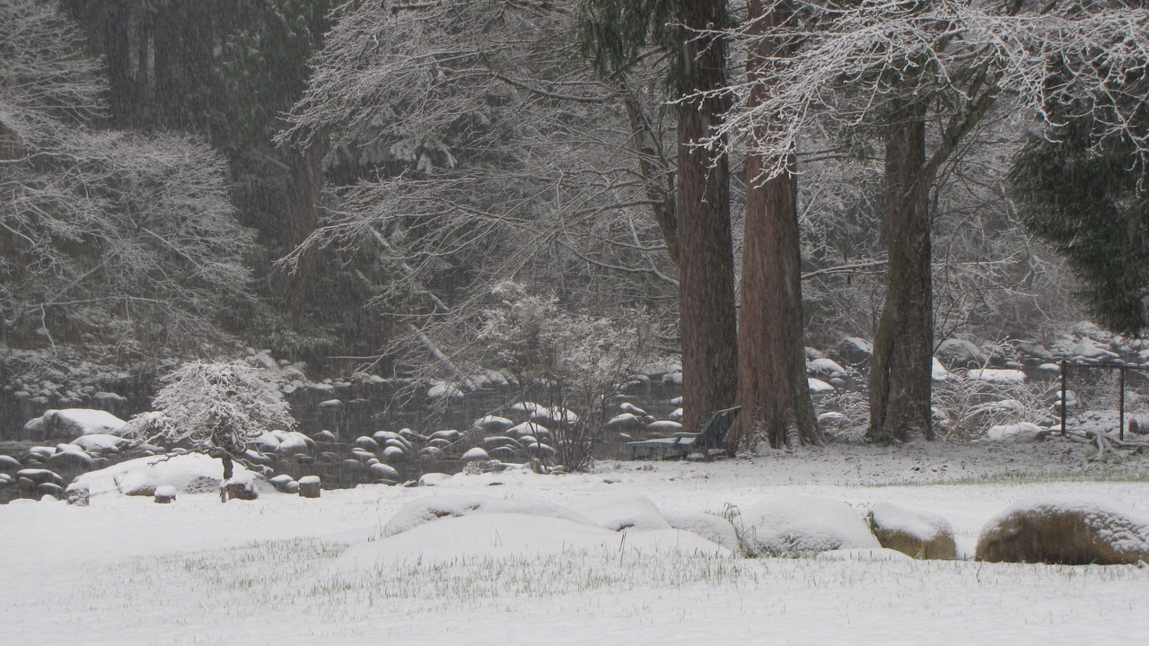 Photo of Others in District of North Vancouver