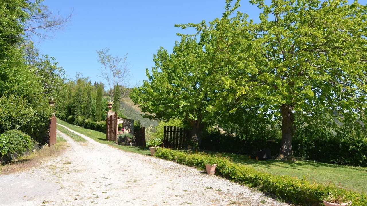 Photo of Outdoor in Modigliana