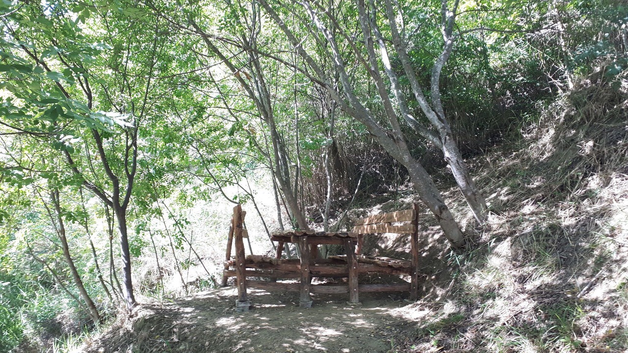 Photo of Outdoor in Modigliana