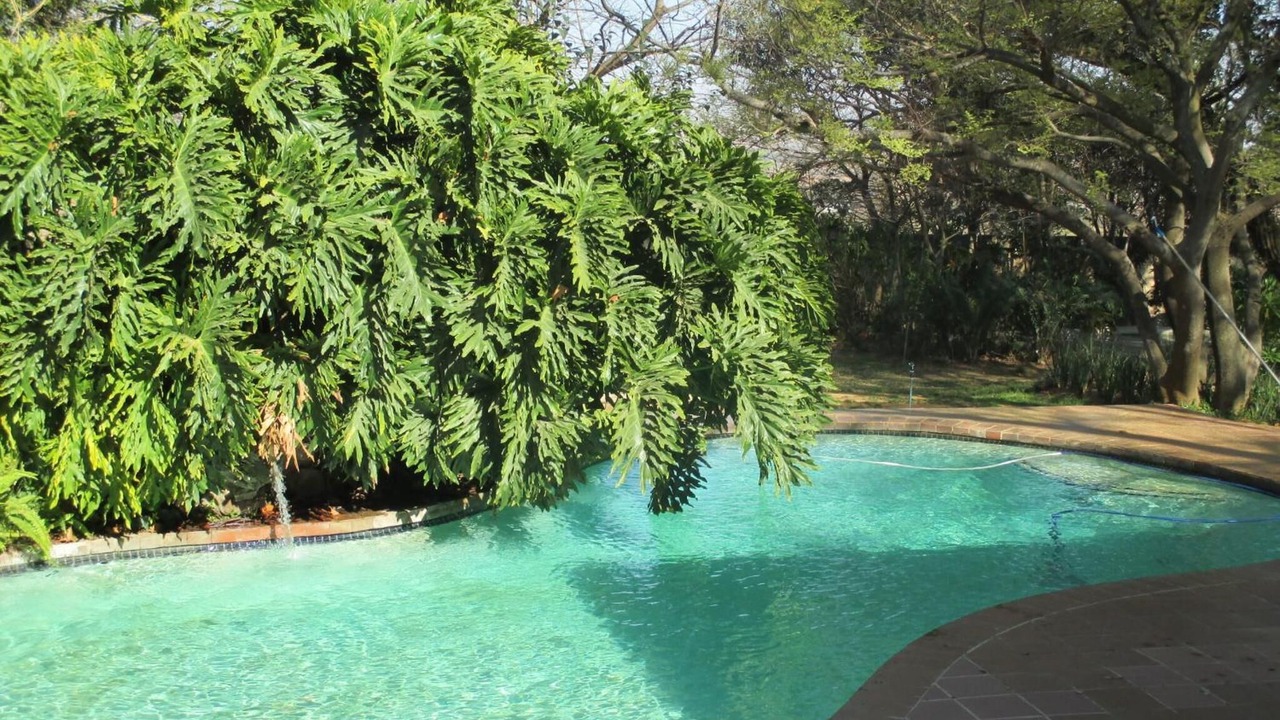 Photo of Outdoor in Muldersdrift