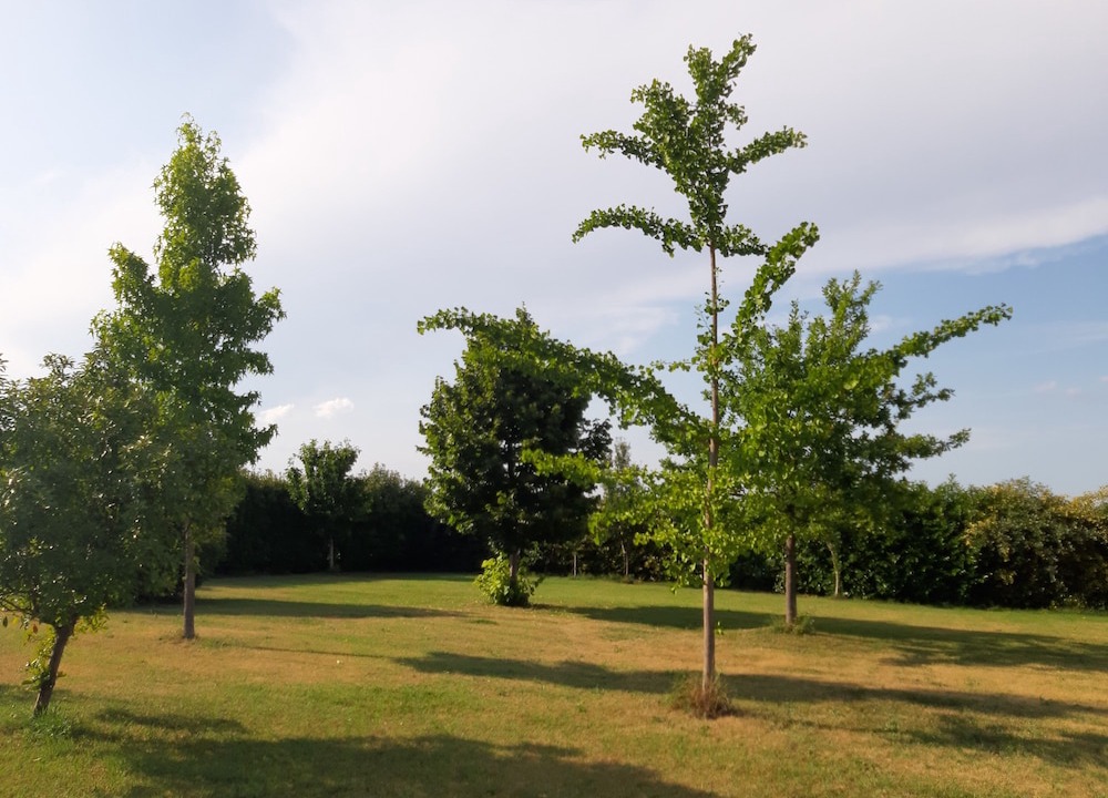 Photo of Outdoor in Castello d'Argile