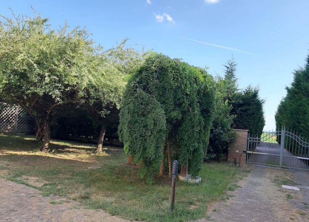 Photo of Outdoor in Castello d'Argile