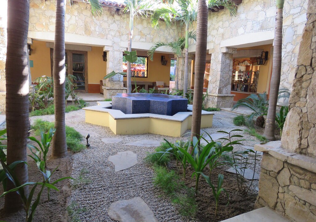 Photo of Others in El Medano Ejidal
