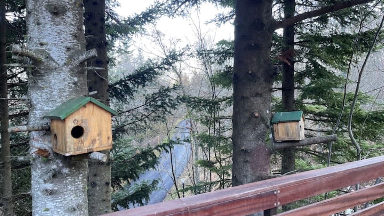 Photo of Outdoor in Chiesanuova