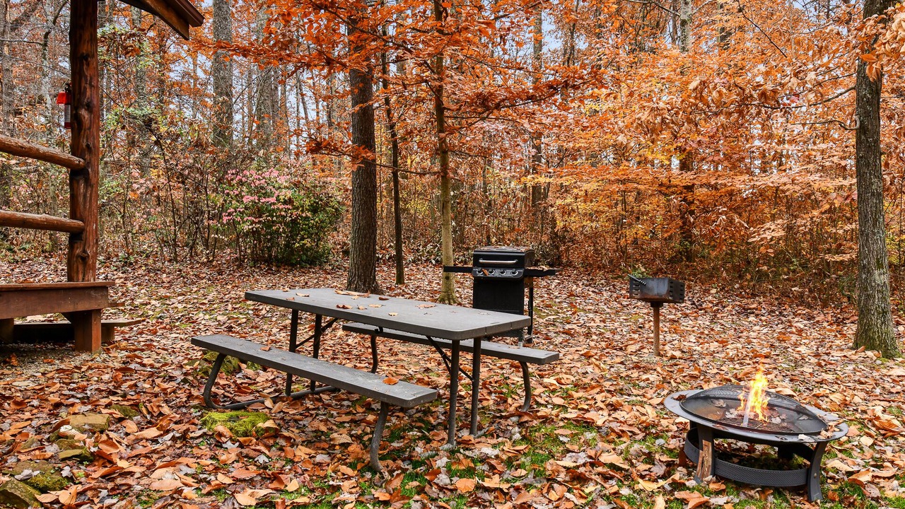 Photo of Outdoor in Logan