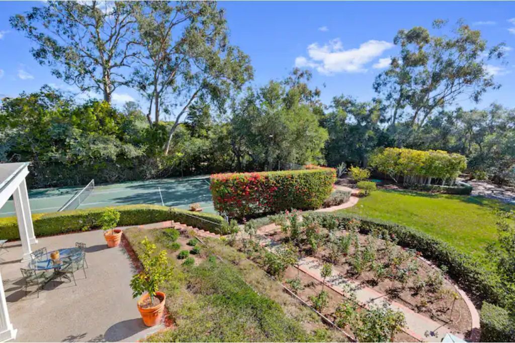 Photo of Outdoor in Hedgerow