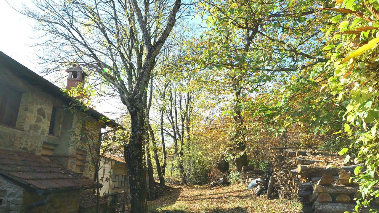 Photo of Others in San Marcello Pistoiese