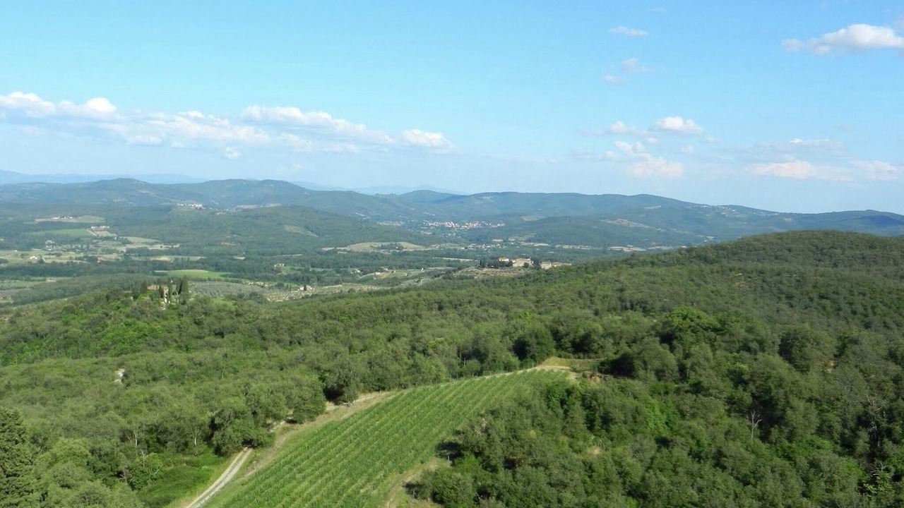 Photo of Others in Bucine